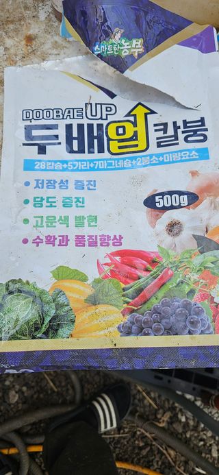김기욱님의 기타작물 · 영농일지 작성글 사진