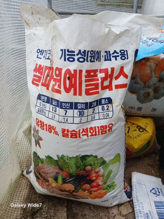 김명자님의 배추 · 영농일지 작성글 사진