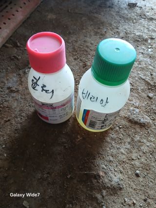 김명자님의 배추 · 영농일지 작성글 사진