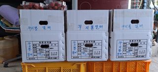 박수천님의 기타작물 · 영농일지 작성글 사진