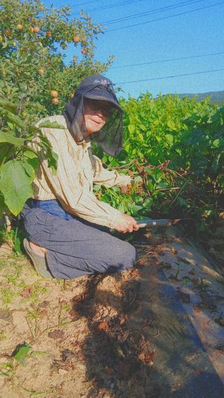 엄기덕님의 작성글 사진