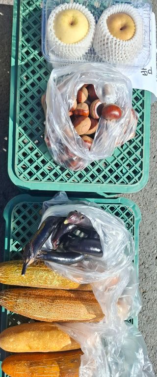 철남 김희곤님의 기타작물 · 영농일지 작성글 사진