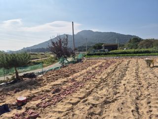 송명식님의 작성글 사진