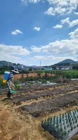강상정님의 작성글 사진