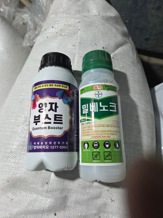 딱따구리님의 기타작물 · 영농일지 작성글 사진