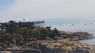 최춘득 청대산 님의 기타작물 · 영농일지 작성글 사진