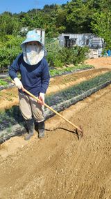 강상정님의 작성글 사진