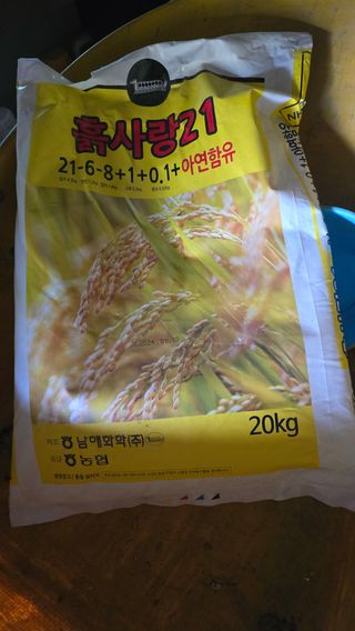 김영한님의 파 · 영농일지 작성글 사진