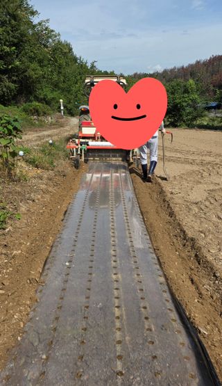 경주농장님의 파 · 영농일지 작성글 사진