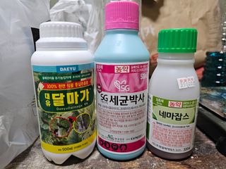 김상엽님의 딸기 · 영농일지 작성글 사진