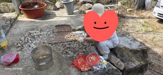 경주농장님의 파 · 영농일지 작성글 사진
