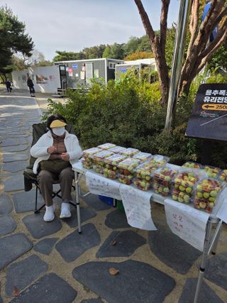 벽양님의 기타작물 · 영농일지 작성글 사진