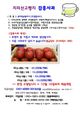 홈 갤러리 이미지