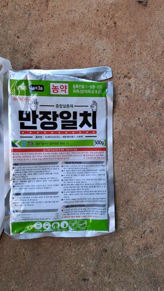 장원팜님의 배 · 영농일지 작성글 사진