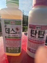 팜모닝 기타작물·영농일지 게시글 이미지