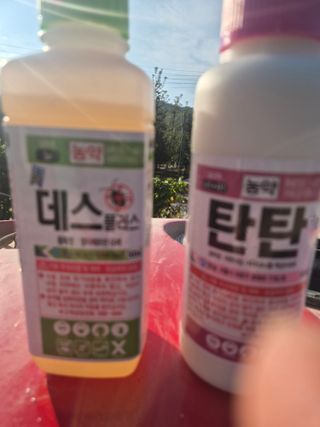 황창만님의 기타작물 · 영농일지 작성글 사진
