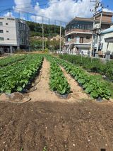 뚜벅이님의 작성글 사진
