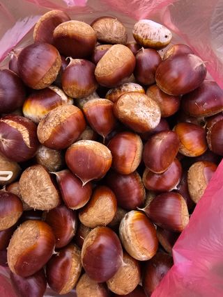 김유숙님의 작성글 사진