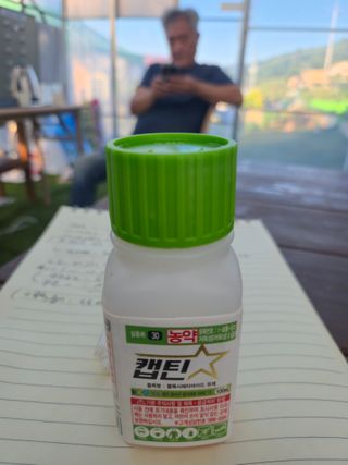 안용섭님의 딸기 · 영농일지 작성글 사진
