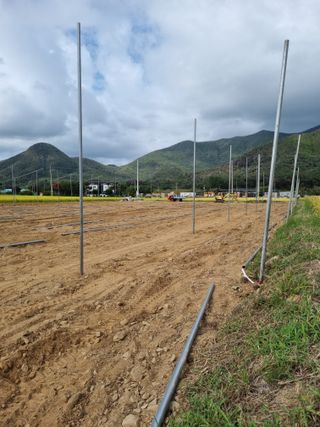 님의 기타작물 · 영농일지 작성글 사진