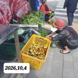 시민농장님의 작성글 사진