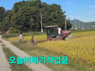 정정치님의 기타작물 · 영농일지 작성글 사진
