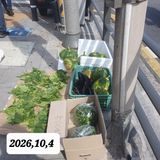 시민농장님의 작성글 사진