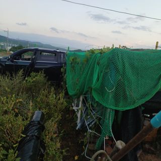 正覺님의 기타작물 · 영농일지 작성글 사진