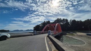 촌사리(김정대)님의 기타작물 · 영농일지 작성글 사진
