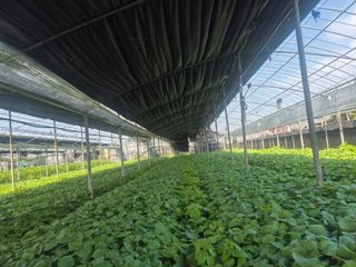 준영농장 출석왕.님의 기타작물 · 영농일지 작성글 사진