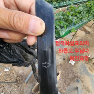 블랙조님의 기타작물 · 영농일지 작성글 사진