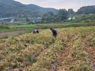 김병창님의 작성글 사진