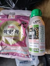 배종규님의 작성글 사진