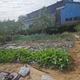 왜목 김진규님의 작성글 사진