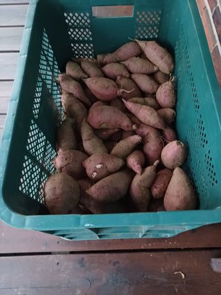 남궁봉님의 작성글 사진