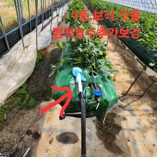 블랙조님의 기타작물 · 영농일지 작성글 사진