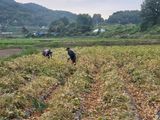 김병창님의 작성글 사진