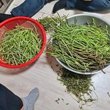 보리님의 작성글 사진