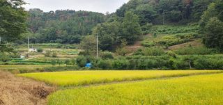 반성식님의 작성글 사진