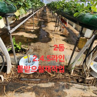 블랙조님의 기타작물 · 영농일지 작성글 사진