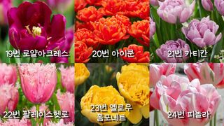 이명희님의 기타작물 · 영농일지 작성글 사진