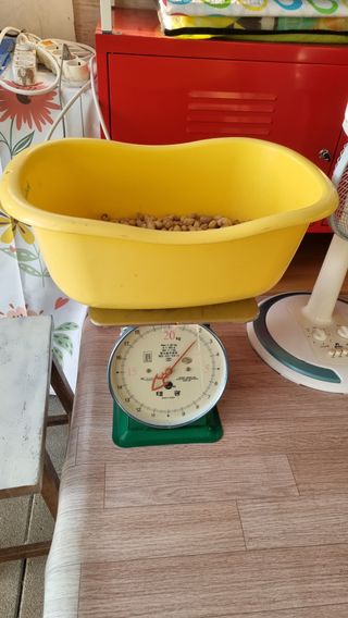 마음이부자인집님의 기타작물 · 영농일지 작성글 사진