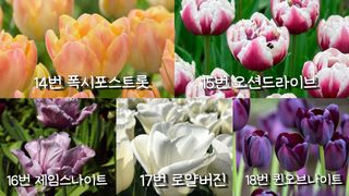 이명희님의 기타작물 · 영농일지 작성글 사진