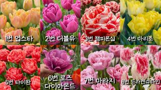 이명희님의 기타작물 · 영농일지 작성글 사진