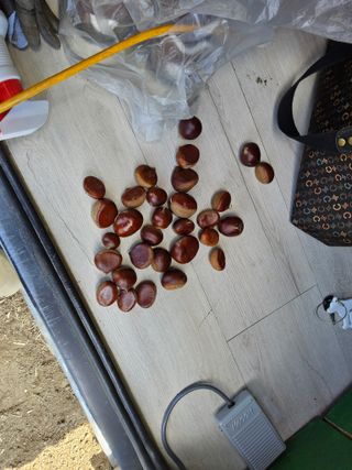 발해인님의 기타작물 · 영농일지 작성글 사진