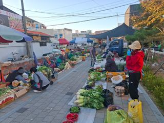 철남 김희곤님의 기타작물 · 영농일지 작성글 사진