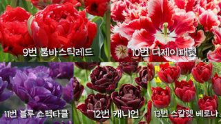이명희님의 기타작물 · 영농일지 작성글 사진