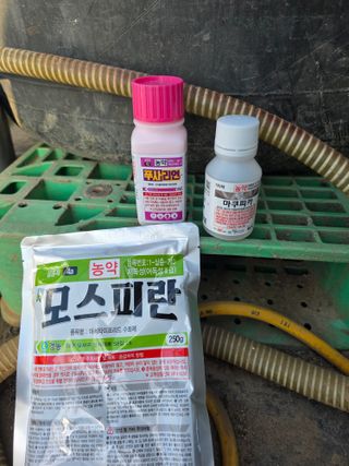 님의 딸기 · 영농일지 작성글 사진