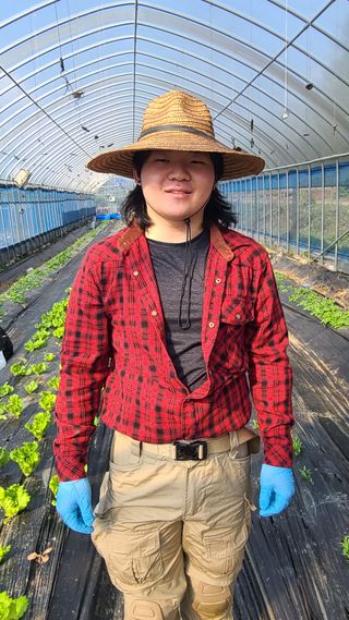 김지연님의 상추 · 영농일지 작성글 사진