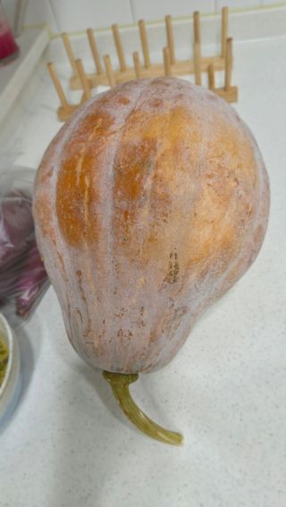 김성필님의 작성글 사진